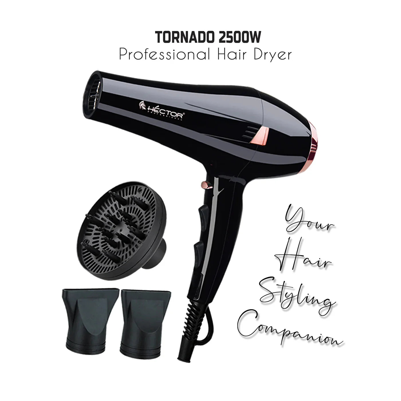 Hector Professional 2500 Watt Tornado Hair Dryer